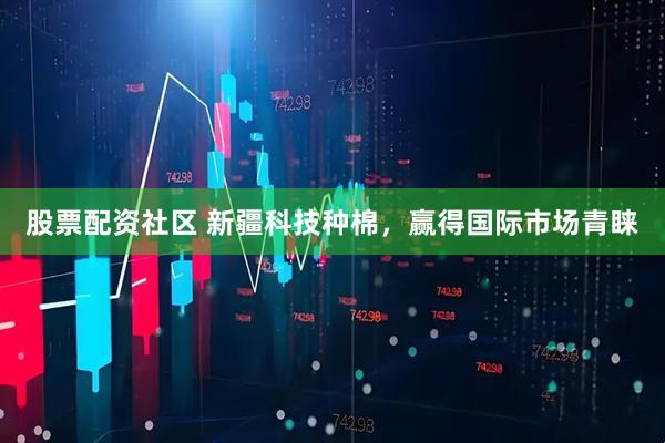 股票配资社区 新疆科技种棉，赢得国际市场青睐