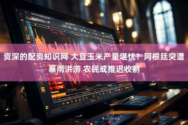 资深的配资知识网 大豆玉米产量堪忧？阿根廷突遭暴雨洪涝 农民或推迟收割